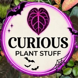CuriousPlantStuff