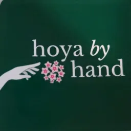 Hoyabyhand