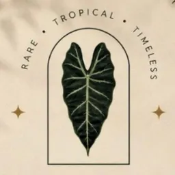 VeilVinePlants