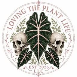 Lovingtheplantlife