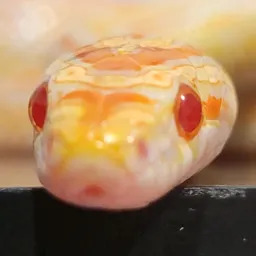 CornSnakeVibes