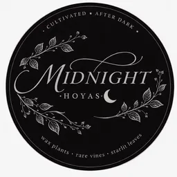 MidnightHoyas