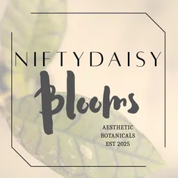 NiftyDaisyblooms