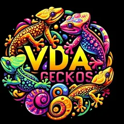 VDA_Geckos