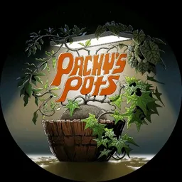 pachys_pots