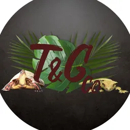 JuanTrtlsNGcksCo