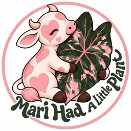MariHadaLittlePlant