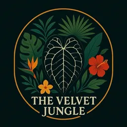 VelvetJunglePlants