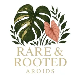 Rare_And_Rooted