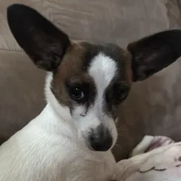 Waldosmommy