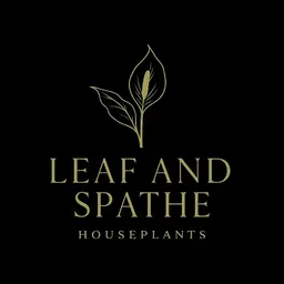 LeafandSpathe