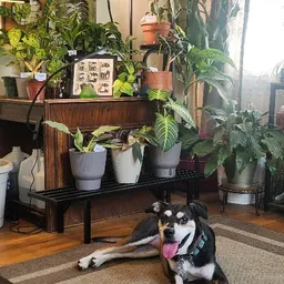 plant_addict913