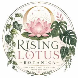 Rising_LotusFlower