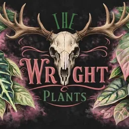 TheWrightPlants
