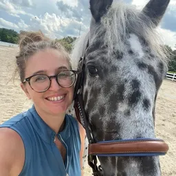 AppaloosaSilver