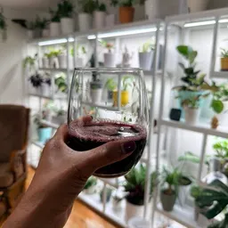 PlantLadyVee