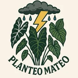 PlanteoMateo