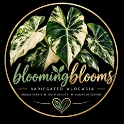 bloomingblooms