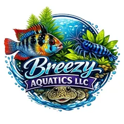 BreezyAquatics