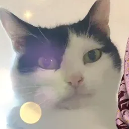 notjeselle