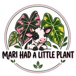 MariHadaLittlePlant