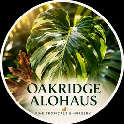 OakridgeAlohaus