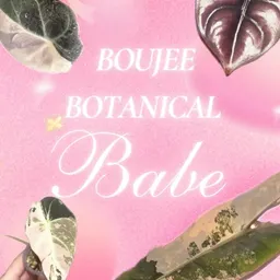 BoujeeBotanicalBabe