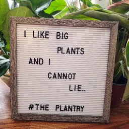 The_Plantry