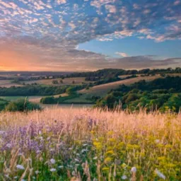 MeadowHills
