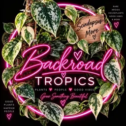 Backroad_Tropics