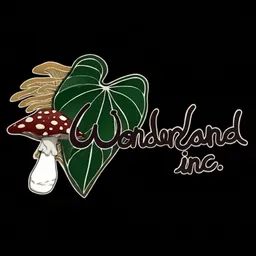wonderlandinc