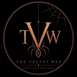 TheVelvetWeb