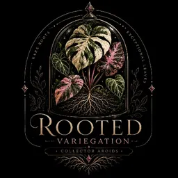 RootedVariegation