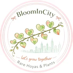 bloom_in_city