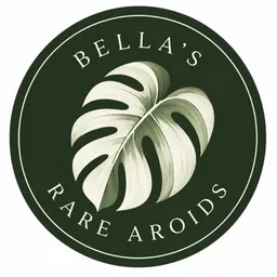 BellasRareAroids