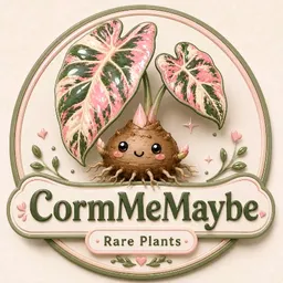 CormMeMaybe