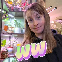 WingoWorks