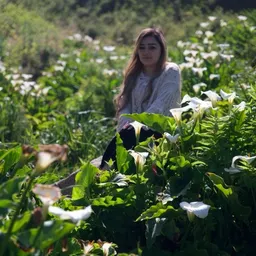 sunflower69
