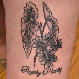 AuntyPlanty