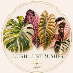 Lushlustbushes