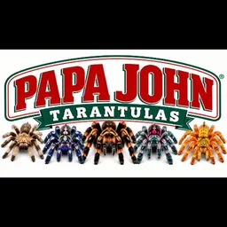 PapaJohnTarantulas