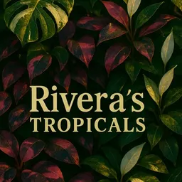 Riverastropicals