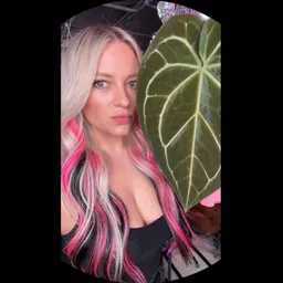 Haute_Rootz_By_Madz