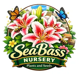 PNW_SeaBass