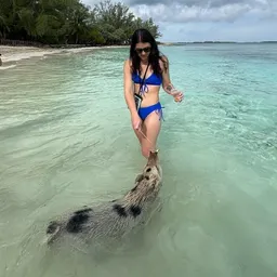 alexis.m13