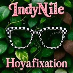 IndyNile_Hoyafixation