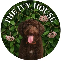 TheIvyHouse