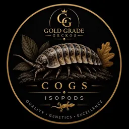 kingcogs