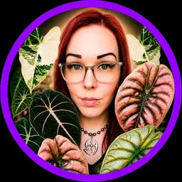 ikeepmyplantswatered