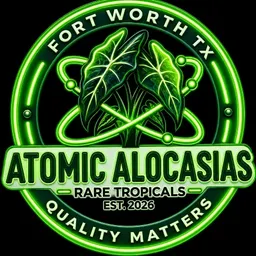 AtomicAlocasias